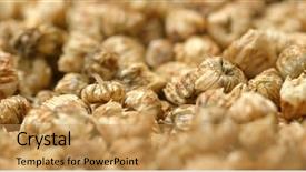  Presentation with chrysanthemum - PPT theme consisting of stack of dry chrysanthemum background and a yellow colored foreground