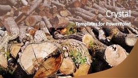  Presentation with wood log - Slide set consisting of stack of firewood wooden log background and a violet colored foreground