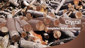  Presentation with wood log - Colorful slide set enhanced with stack of firewood wooden log backdrop and a tawny brown colored foreground