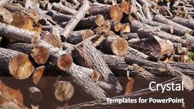  Presentation with wood log - Cool new slide deck with stack of firewood wooden log backdrop and a tawny brown colored foreground