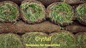  Presentation with stack - Beautiful PPT theme featuring stack of rolled grass sod backdrop and a  colored foreground