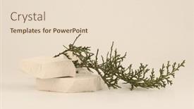  Presentation with minimal - 