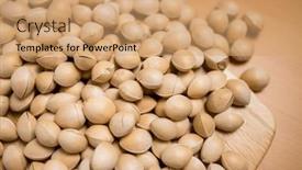  Presentation with ginkgo - Slide deck having stack-of-the-ginkgo-biloba and a coral colored foreground