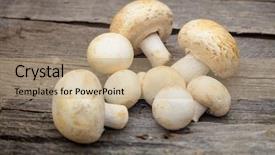  Presentation with mushroom - Audience pleasing theme consisting of stack of white button mushrooms backdrop and a coral colored foreground
