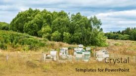  Presentation with new zealand - PPT theme having stack-of-wooden-beehives background and a  colored foreground
