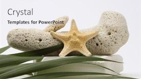  Presentation with starfish - PPT theme enhanced with stack-stones-coral-platform-starfish background and a sky blue colored foreground