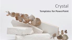  Presentation with eucalyptus - PPT theme with stack-stones-platform-podium background and a white colored foreground
