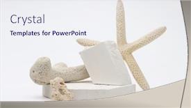  Presentation with starfish - PPT theme with stack-stones-platform-podium background and a sky blue colored foreground
