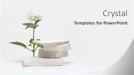  Presentation with management stop light - Slide set having stack-stones-platform-podium background and a white colored foreground