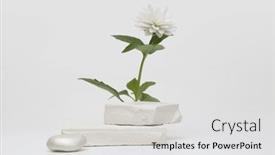  Presentation with minimal - PPT layouts having stack-stones-platform-podium background and a white colored foreground