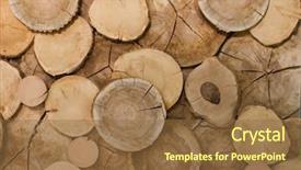 Presentation with wood log - Amazing PPT theme having stacked concentric rings - abstract wood log background close-up backdrop and a  colored foreground