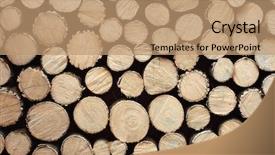  Presentation with design rustic wood wall texture - Cool new PPT theme with stacked concentric rings - log background texture element backdrop and a coral colored foreground