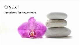  Presentation with pastel pink and gray - Theme featuring stacked gray stones pink orchid background and a white colored foreground