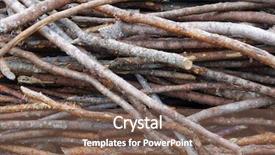  Presentation with wood log - Amazing slide set having stacked log cut trees - wood backdrop and a violet colored foreground