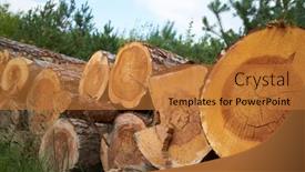  Presentation with cut - PPT layouts enhanced with stacked-logs-of-cut-trees background and a gold colored foreground