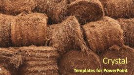  Presentation with straw - Slides featuring stacked-straw-hay-bails-background background and a tawny brown colored foreground