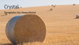  Presentation with hay field - PPT layouts enhanced with stacks of hay on summer background and a coral colored foreground
