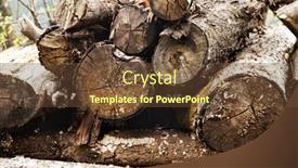  Presentation with himachal pradesh - Audience pleasing slide deck consisting of paper cup of coffee is backdrop and a light gray colored foreground