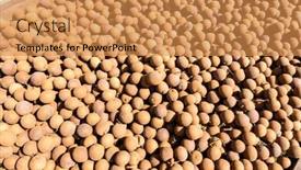  Presentation with taiwan - Beautiful presentation design featuring stacks-of-longans backdrop and a gold colored foreground