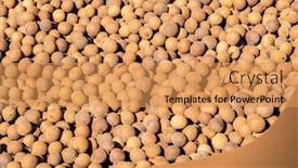  Presentation with taiwan - Amazing slide set having stacks-of-longans backdrop and a yellow colored foreground