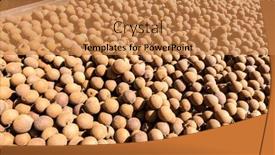  Presentation with taiwan - Amazing slide set having stacks-of-longans backdrop and a coral colored foreground