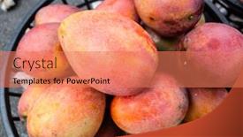  Presentation with fruits mango - Presentation theme consisting of stacks-of-mango-fruits background and a coral colored foreground