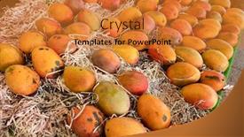  Presentation with mango - Amazing presentation theme having stacks-of-mango backdrop and a gold colored foreground