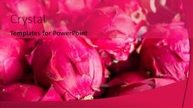  Presentation with pitaya - Presentation featuring stacks of pitaya fruits in the traditional marketplace background and a red colored foreground