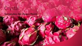  Presentation with pitaya - PPT theme with stacks-of-pitaya-fruits background and a red colored foreground