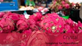  Presentation with pitaya - Colorful slide set enhanced with stacks-of-pitaya-fruits backdrop and a red colored foreground