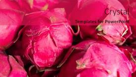  Presentation with pitaya - Amazing presentation having stacks-of-pitaya-fruits backdrop and a red colored foreground