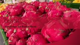  Presentation with pitaya - Audience pleasing slide deck consisting of stacks-of-purple-pitaya-fruits backdrop and a crimson colored foreground