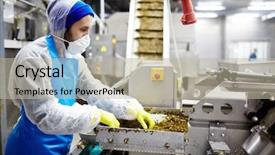  Presentation with industrial machine - Audience pleasing theme consisting of staff of seafood production factory backdrop and a mint green colored foreground