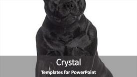  Presentation with old - Colorful presentation design enhanced with staffordshire bull terrier sitting 2 backdrop and a dark gray colored foreground