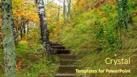  Presentation with woodland - PPT theme having stairs-to-woodland-trail background and a tawny brown colored foreground