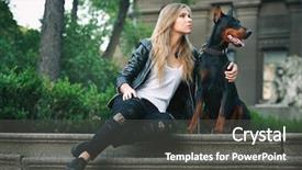  Presentation with doberman - Audience pleasing presentation theme consisting of stairs with her dog backdrop and a  colored foreground