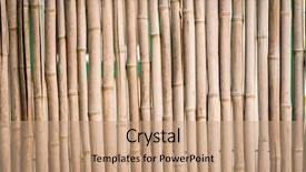  Presentation with textured natural bamboo fence - PPT theme enhanced with stake - closeup of bamboo stick fence background and a coral colored foreground