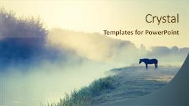  Presentation with pasture - Slides featuring stallion - arabian horses grazing on pasture background and a cream colored foreground