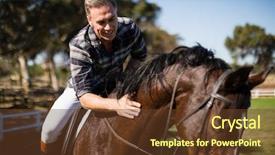  Presentation with stallion - Beautiful PPT layouts featuring stallion - man riding a horse backdrop and a tawny brown colored foreground