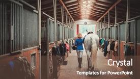  Presentation with stallion - Slide deck with stallion - middle-aged woman with her horse background and a tawny brown colored foreground