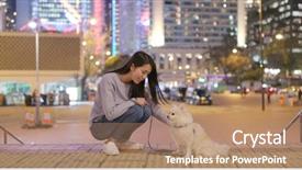  Presentation with outdoor worker safety - Presentation consisting of stand tall - pomeranian with owner and standing background and a  colored foreground