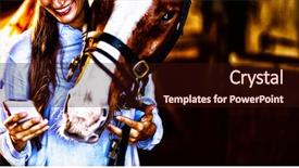  Presentation with vet - Presentation featuring standing by horse in stable background and a wine colored foreground