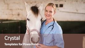  Presentation with vet - Slide set with standing by horse in stable background and a coral colored foreground