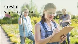  Presentation with nursery plant - PPT theme with standing in background at plant background and a soft green colored foreground