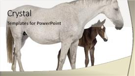  Presentation with old days - Audience pleasing PPT layouts consisting of standing in front of white backdrop and a soft green colored foreground