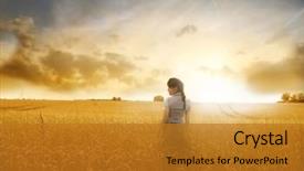  Presentation with wheat - Slide deck with standing on a wheat field background and a gold colored foreground