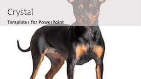  Presentation with prague - PPT layouts consisting of standing-prague-ratter-isolated background and a light gray colored foreground