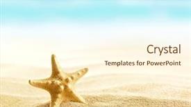  Presentation with starfish - Colorful slide set enhanced with star - starfish on sandy beach backdrop and a cream colored foreground