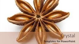  Presentation with star - PPT layouts consisting of star-anise-badiane-spice-isolated background and a coral colored foreground