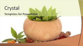  Presentation with cardamom - Slide deck consisting of star anise cardamom and mace background and a blonde colored foreground